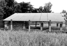 রাঙ্গুনিয়ায় ৩ সোলার সেচ প্ল্যান্ট চালু, ১৫০ কানি জমি হচ্ছে তিন ফসলি