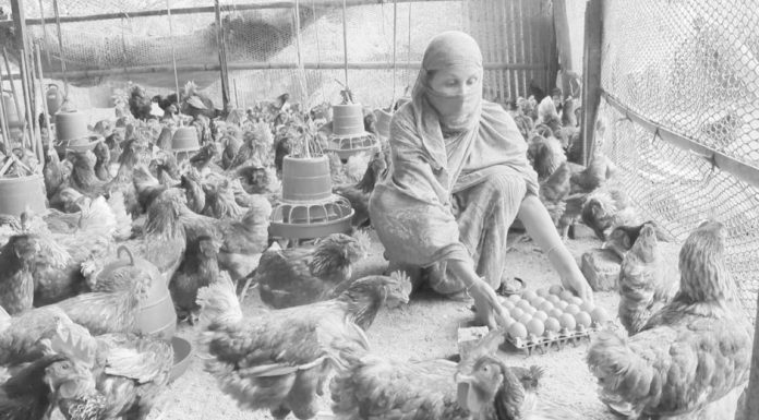 Rangunia nari udoktha oic