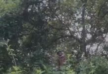 উখিয়ার কুতুপালংয়ে পাহাড়ে যুবকের ঝুলন্ত মরদেহ উদ্ধার