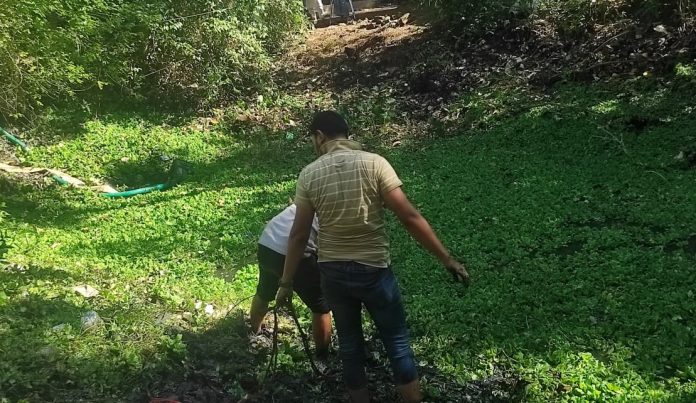 Screenshot 2025-11-17 141651