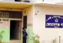 মীরসরাইরেয় একরাতে ৬ গরু চুরি, আতঙ্ক