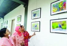 পাখি সব করে রব