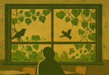 গল্প বলার গল্প