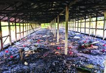 মীরসরাইয়ে আগুনে পুড়ে ছাই পোল্ট্রি খামারের আড়াই হাজার মুরগী