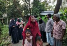 মীরসরাইয়ে ভাইয়ের হাতে ভাই খুন