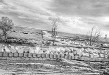 অপরূপ সৌন্দর্যের ডোমখালী সমুদ্রসৈকত