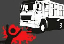 ফিরিঙ্গিবাজারে ট্রাক চাপায় মাছ বিক্রেতা নিহত