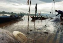 খনির বিষে দক্ষিণপূর্ব এশিয়ার নদী, মানুষ বড় ঝুঁকিতে, বলছে গবেষণা