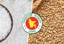প্রচুর পরিমাণ চাল ও গম আমদানি করছে সরকার