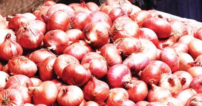 onion