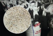 বন্দরে বার্ড ফুড ঘোষণায় আনা দুই কন্টেনার পপি সিড জব্দ