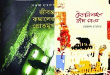 মোস্তফা হায়দারের কবিতায় রাষ্ট্রচিন্তা ও সম্ভাবনার চিত্রকল্প