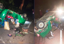 কাপ্তাই সড়কে সিএনজির উপর হাতির হামলা, প্রাণ গেল বৃদ্ধার