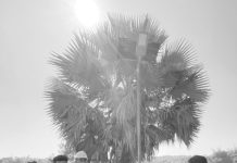 সৌরবিদ্যুতের সড়কবাতিতে আলো ঝলমলে ফটিকছড়ির প্রত্যন্ত গ্রাম