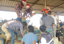 ফটিকছড়িতে অটো ব্রিকস মেশিনে আটকে শ্রমিকের মৃত্যু