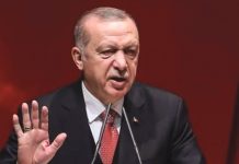 কৃষ্ণসাগর যেন সংঘাতের এলাকা না হয় : এরদোয়ান