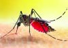 দেশে ডেঙ্গুতে মৃত্যু ছাড়াল ৪০০