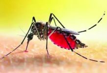 দেশে ডেঙ্গুতে মৃত্যু ছাড়াল ৪০০