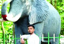 কুরআন খতমের অনুষ্ঠানে যাচ্ছিলেন তরুণ হাফেজ, সড়কে মৃত্যু