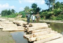 ফটিকছড়িতে ৫৩০ পিস অবৈধ কাঠ জব্দ