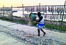 কর্ণফুলীর তীরে শুঁটকি শ্রমিকদের ব্যস্ততা