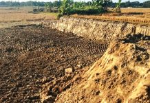 কৃষি জমির টপসয়েল যাচ্ছে ইটভাটায়, লাখ টাকা জরিমানা