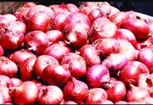 একদিনেই পেঁয়াজের দাম কেজিতে কমল ৩০-৪০ টাকা