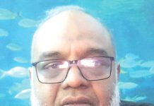 জাহাজ ভাঙা শিল্প রক্ষায় স্বল্প সুদে দীর্ঘমেয়াদি ঋণের উদ্যোগ নেওয়া জরুরি