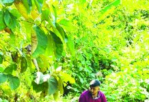 সাজেকে নিয়ন্ত্রণ হারিয়ে বিজিবির গাড়ি খাদে, আহত ২