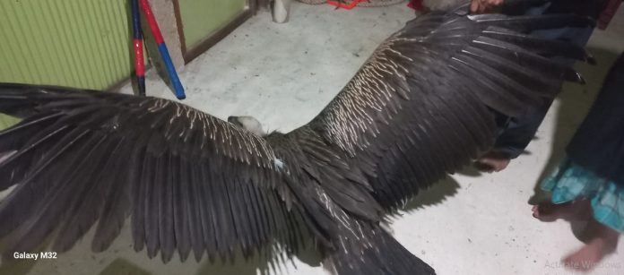 Screenshot 2025-12-10 145531