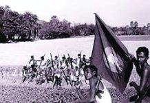 বিজয়ের দীপ্ত দিনে স্বাধীনতার নতুন উচ্চারণ