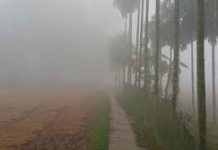 নগরীতে বাড়ছে শীতের প্রকোপ