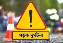 মহাসড়কে গাড়ির ধাক্কায় বানরের মৃত্যু