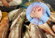 মাছের পুষ্টিগুণ ঠেকাবে হৃদরোগ, স্ট্রোক, উচ্চ রক্তচাপ