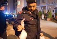 ইতালিতে মাদক বিরোধী অভিযান গ্রেফতার ৩৮৪