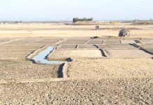 খাল খননে দেরি, লবণ মাঠে নেই পানি