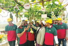 সীতাকুণ্ডে উন্মুক্ত মাঠ দিবসে পনের ফসলের ৪৮ জাত প্রদর্শিত