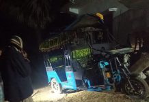 টমটম উল্টে গাছের সঙ্গে ধাক্কা, শিশু নিহত