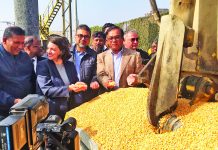 ৮ বছর পর আমেরিকা থেকে এল ভুট্টা