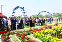 ১৪০ প্রজাতির ফুলে সেজেছে ডিসি পার্ক