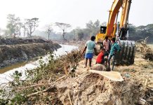 খনন যন্ত্রের থাবায় নিধন হচ্ছে শত শত গাছ