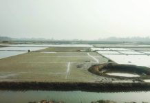 বাঁশখালীর লবণ উৎপাদন কুয়াশায় বাধাগ্রস্ত, দামে হতাশ চাষিরা