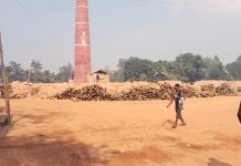 চন্দনাইশে অবৈধ ইটভাটায় পুড়ছে বনের কাঠ, ধ্বংস হচ্ছে পরিবেশ