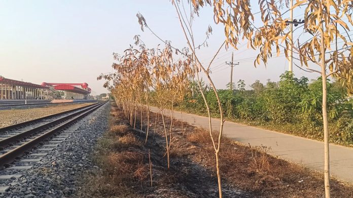 Chandanaish Pic- (1)- 20-01-2026