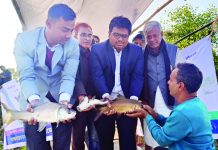 হালদায় দ্বিতীয় ধাপে ২২০ কেজি মাছের পোনা অবমুক্ত