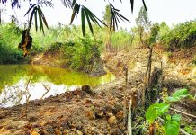 চুনতি অভয়ারণ্যে টিলা কেটে পাগলীর ছড়ায় বাঁধ