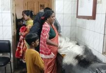 বোয়ালখালীতে মাইক্রোবাসের ধাক্কায় শিশু নিহত