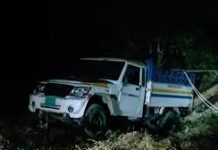 রাঙামাটিতে গাছবোঝাই পিকআপ খাদে, নিহত ২