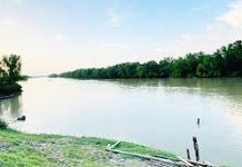 মিয়ানমারে গোলাগুলি, টেকনাফে জেলে গুলিবিদ্ধ