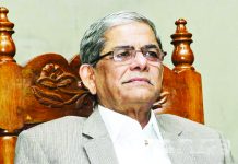 ৭ বছরে মির্জা ফখরুলের আয় বেড়েছে সামান্য, সম্পদ বেড়ে আড়াইগুণ